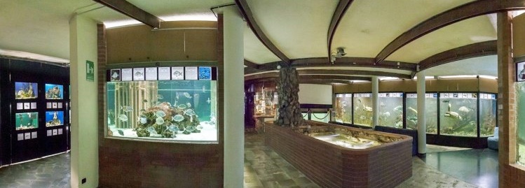 Acquario dell'Elba Marina di Campo Tuscany Italy