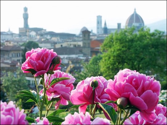 Forence Italy Travel Guide - Travel Blog and Italy insights