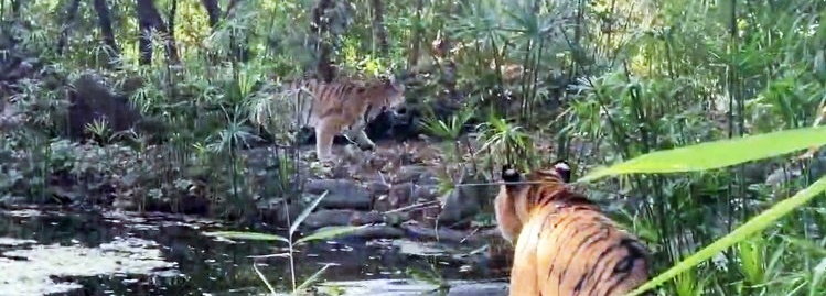 Giardino Zoologico di Pistoia - Tuscany Zoo Near Florence Italy