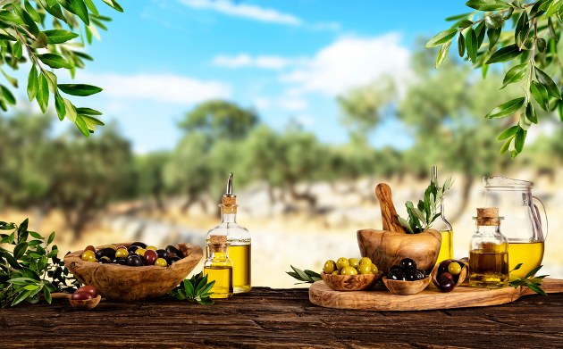 Italian Olive Oil - Olive Harvest Season in Tuscany, Italy 2025