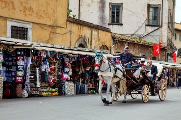 Seafood & food market in Pisa Italy