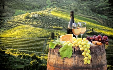 Must Try Tuscany Wine & Tuscany Wine Tours