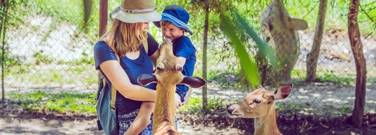 Giardino Zoologico di Pistoia - Tuscany Zoo in Florence, Italy