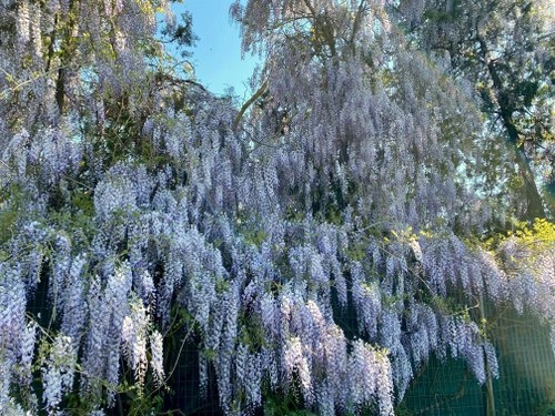 Best time to visit Italy - Italy spring travel guide