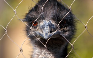Zoo in Tuscany Italy - Zoo near Florence Italy